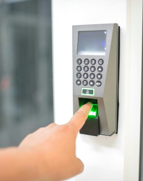 pexels-cookiecutter-17155842